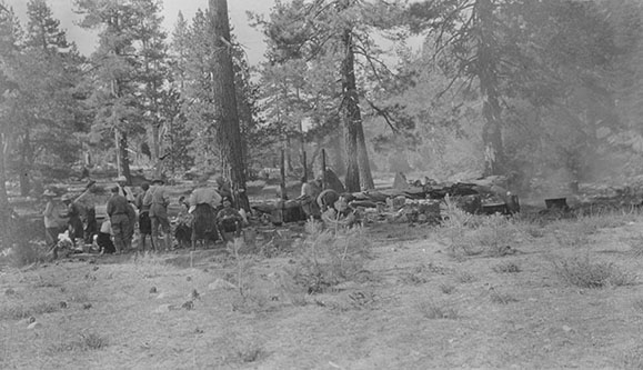 trout meadow