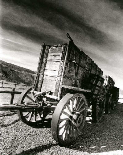 20 mule team wagons