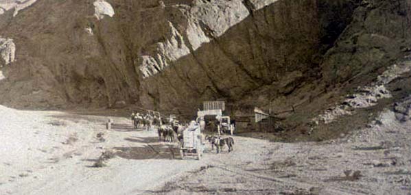 20 mule team in death  valley