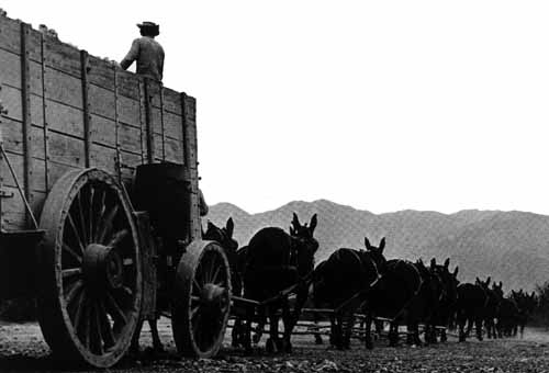 giant wagons
