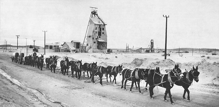 20 mule team in boron