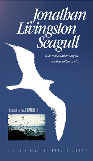 seagul