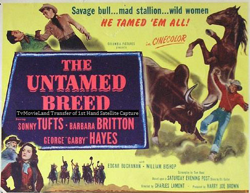 untamed breed