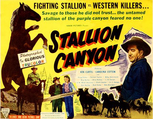 stallion canyon