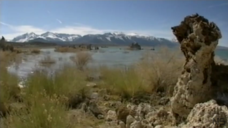 mono lake