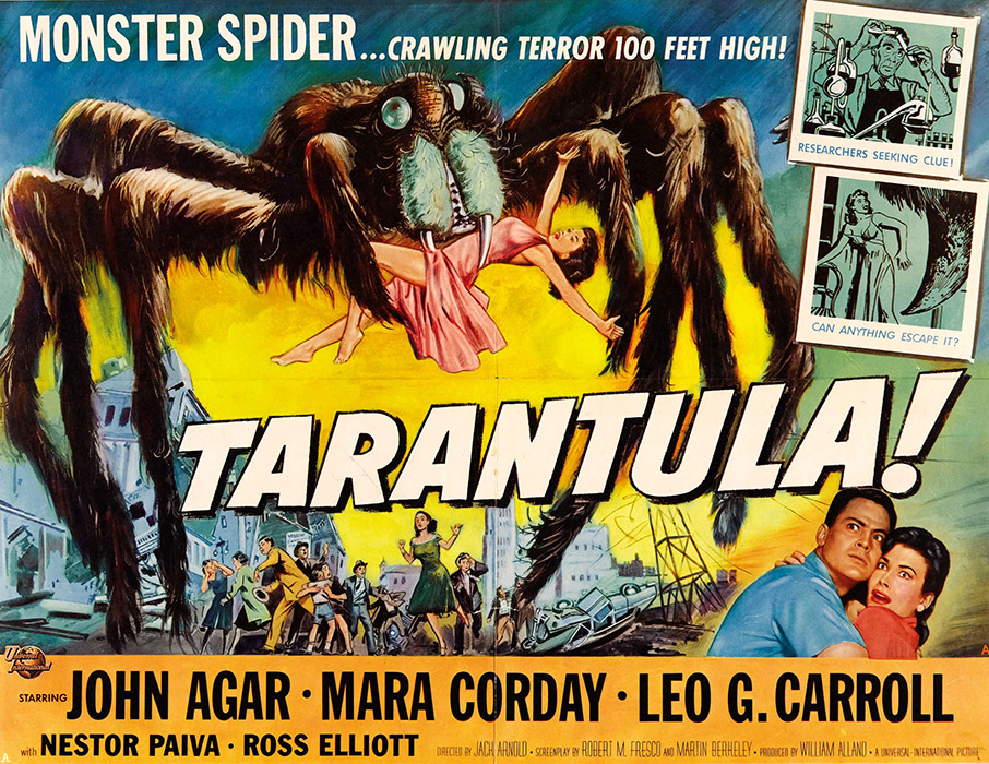 tarantula