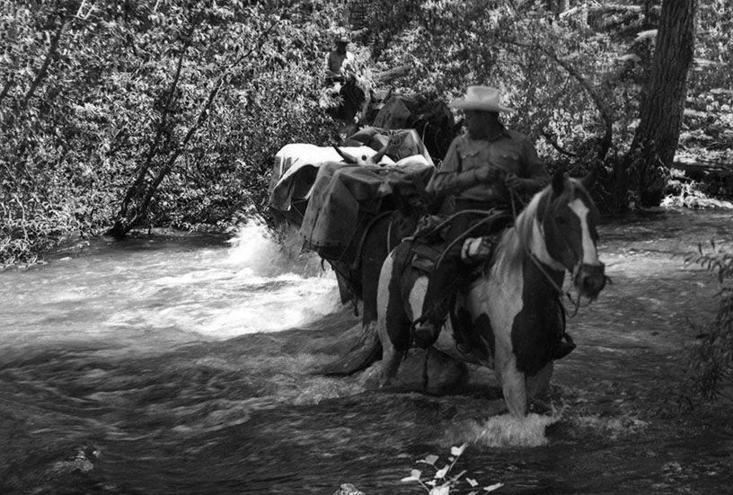 creek crossing