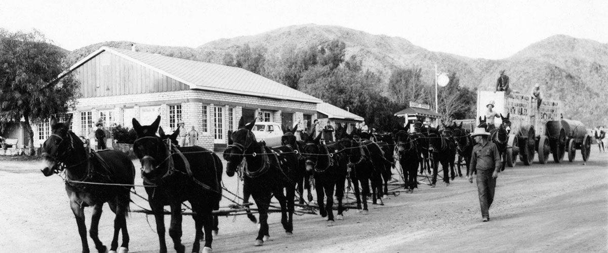 20-Mule-Team at Panamint Springs