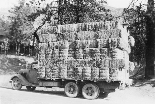 hauling hay