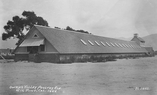 owens valley poultry farm