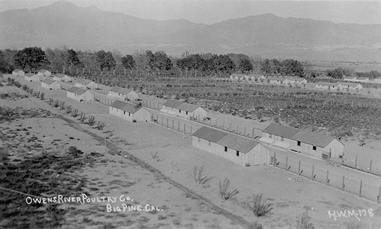 owens river poultry farm