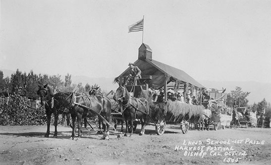 harvest festival