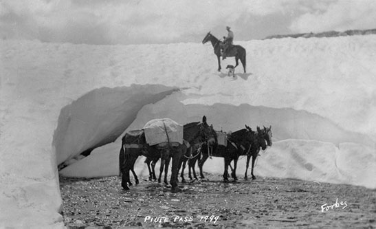 paiute pass