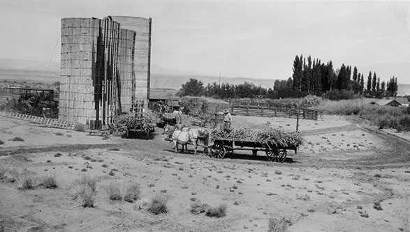 grain silo