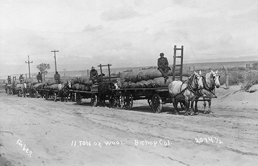 hauling wool