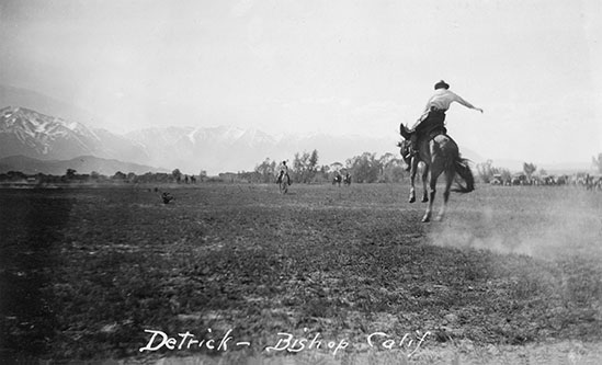 bishop rodeo