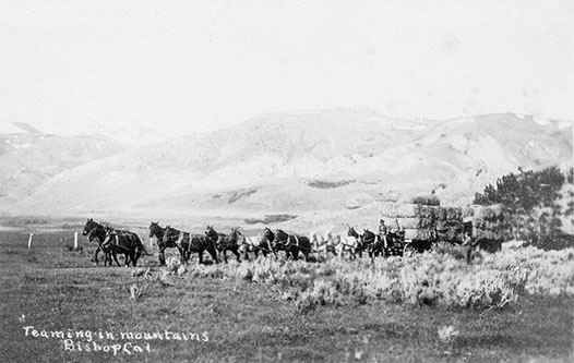 hauling hay