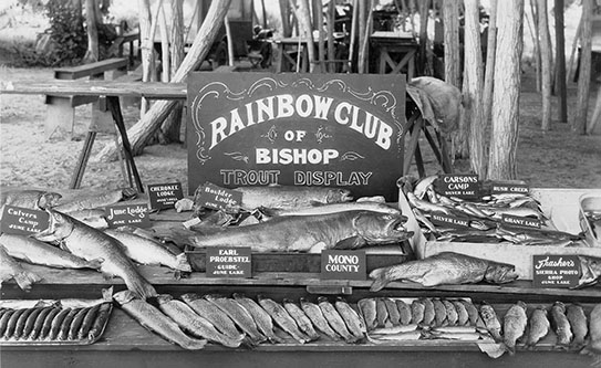 rainbow club