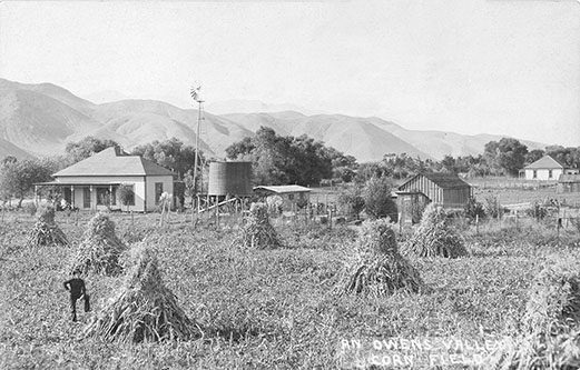 bishop hay ranch