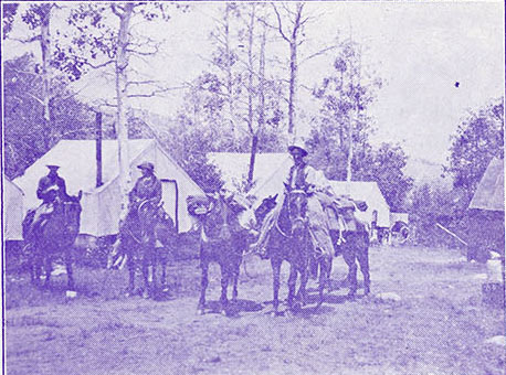 andrews camp