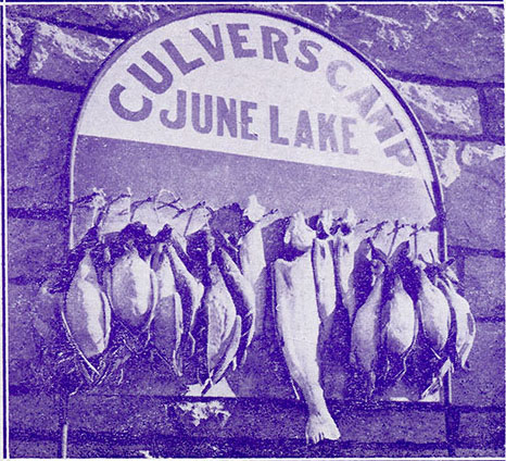 culver's camp