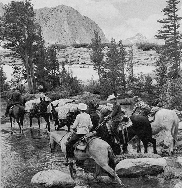 high sierra packers