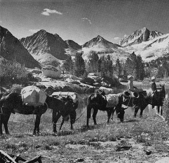 rock creek pack station