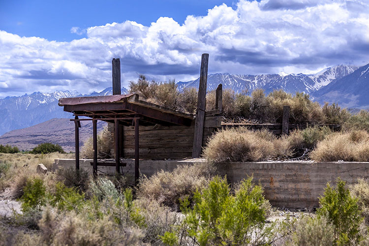 blue star mine