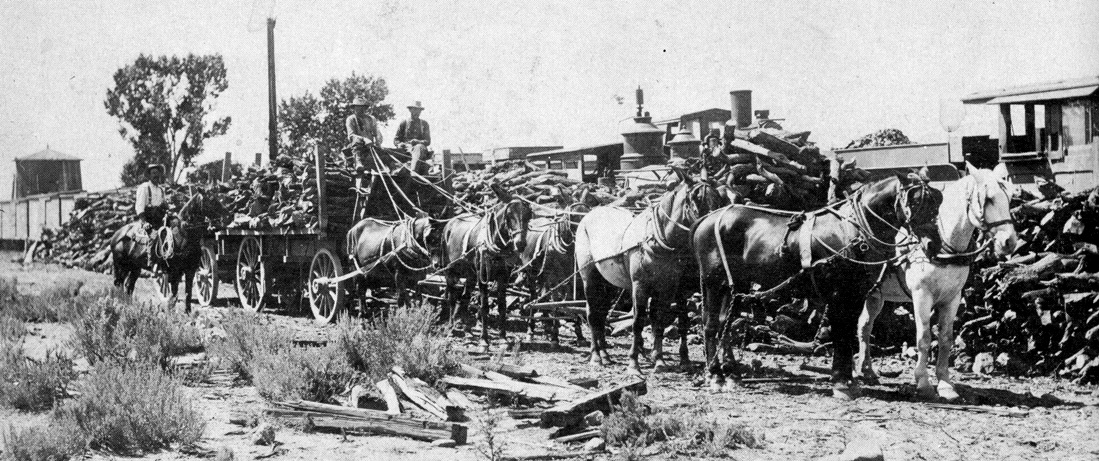 hauling wood to the carson and colorado railroad