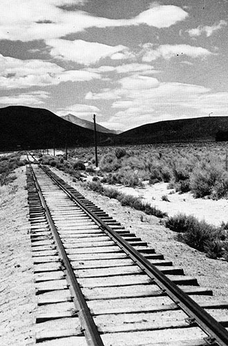 sagebrush and sand