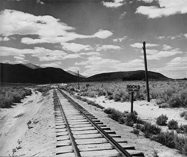 sagebrush and sand