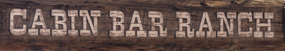 cabin bar ranch