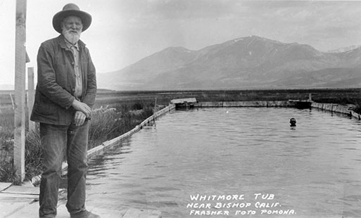 whitmore tub