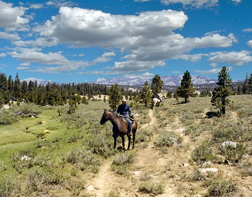 east of templeton meadow