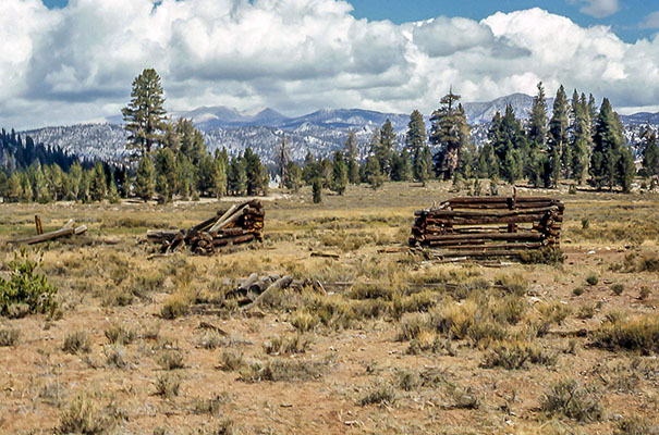 templeton meadow