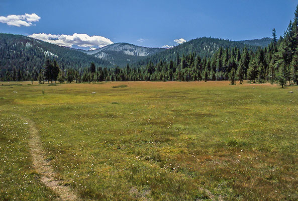 little whitney meadow