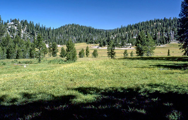 casa vieja meadow