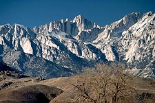 mt. whitney