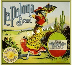 la paloma