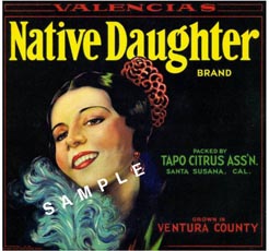 native daughter
