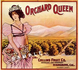 orchard queen
