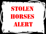 stolen horse alert