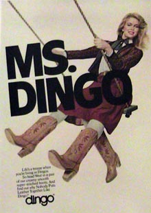 miss dingo