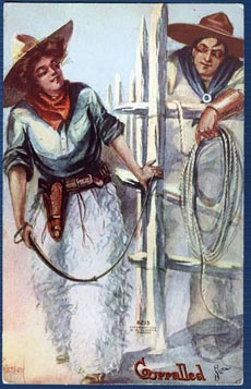 peterson cowgirl