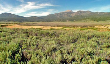 monache meadows