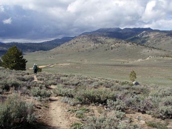 monache meadows