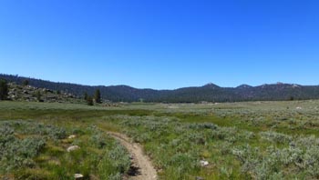 monache meadows