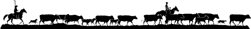 cattle drive