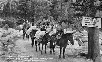 Halliday Pack Train