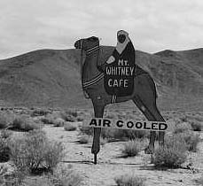 whitney cafe camel